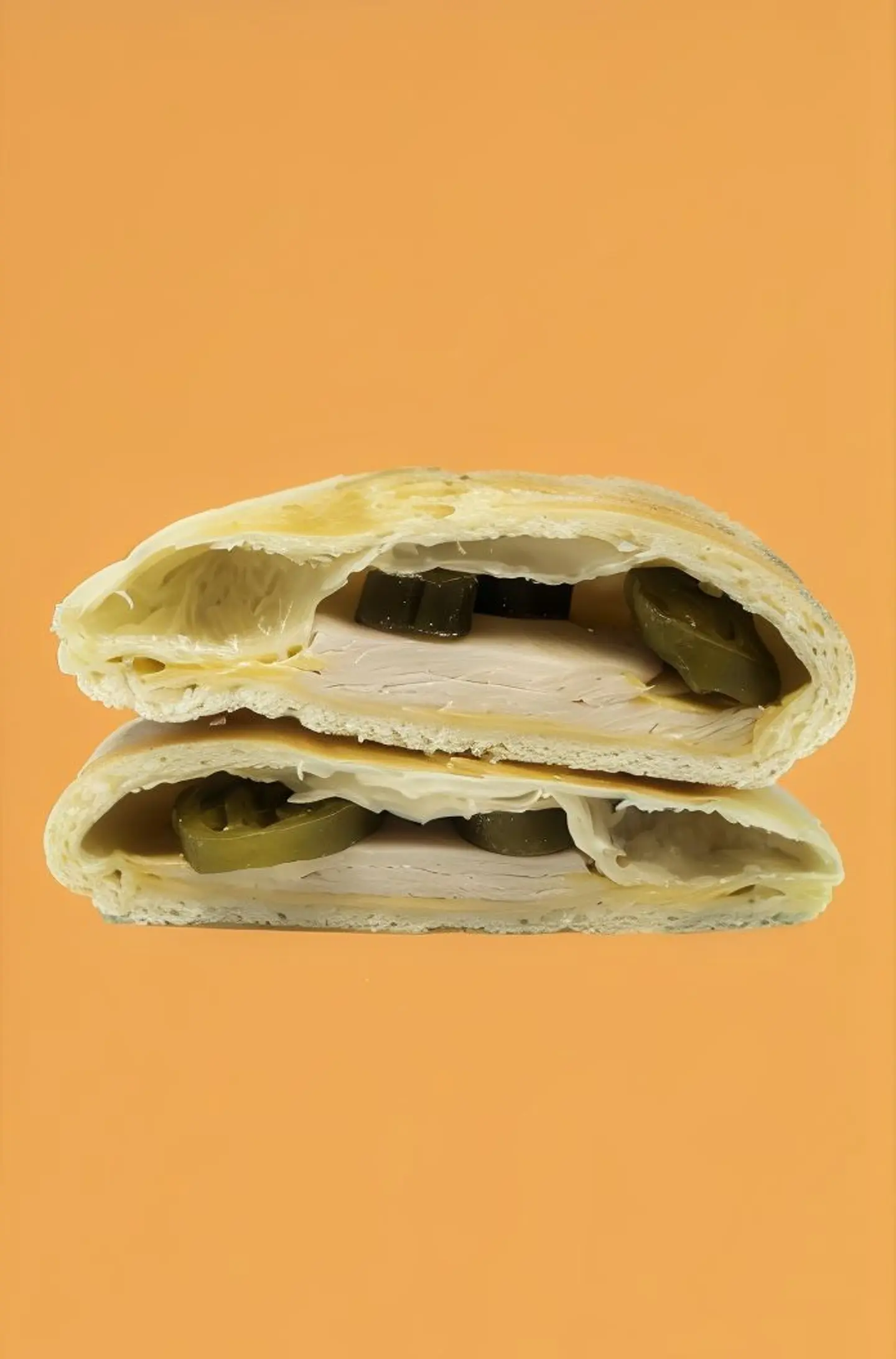 ساندوتش ديك رومي