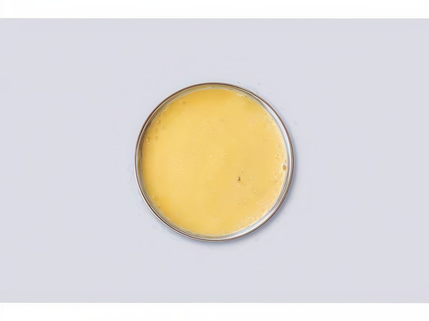Honey Mustard Sauce