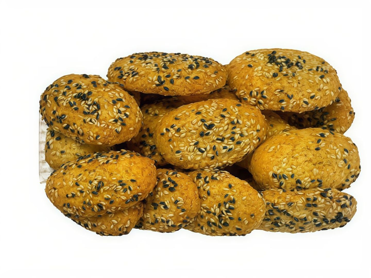 شابوره بر حالية