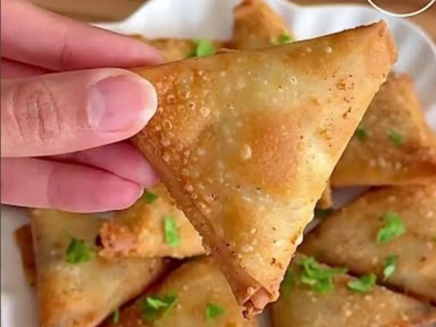 Medium Box Samosa