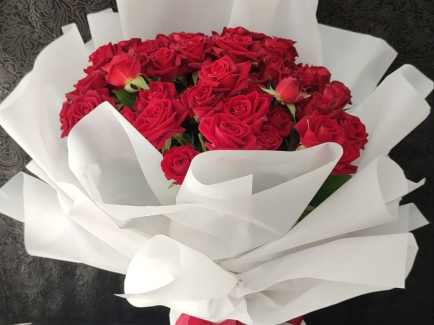 Red Baby Roses Sh15