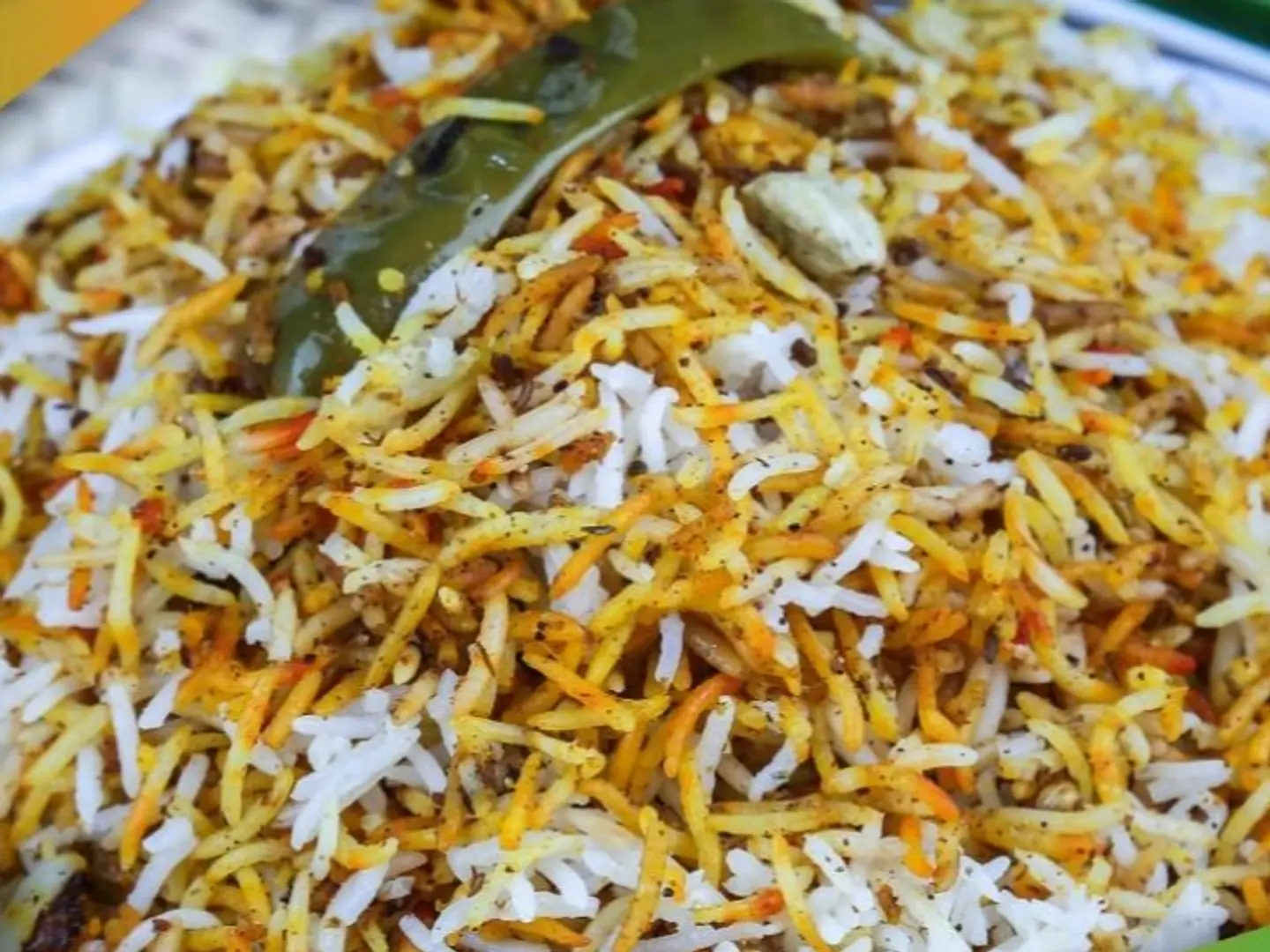 نفر رز سادة