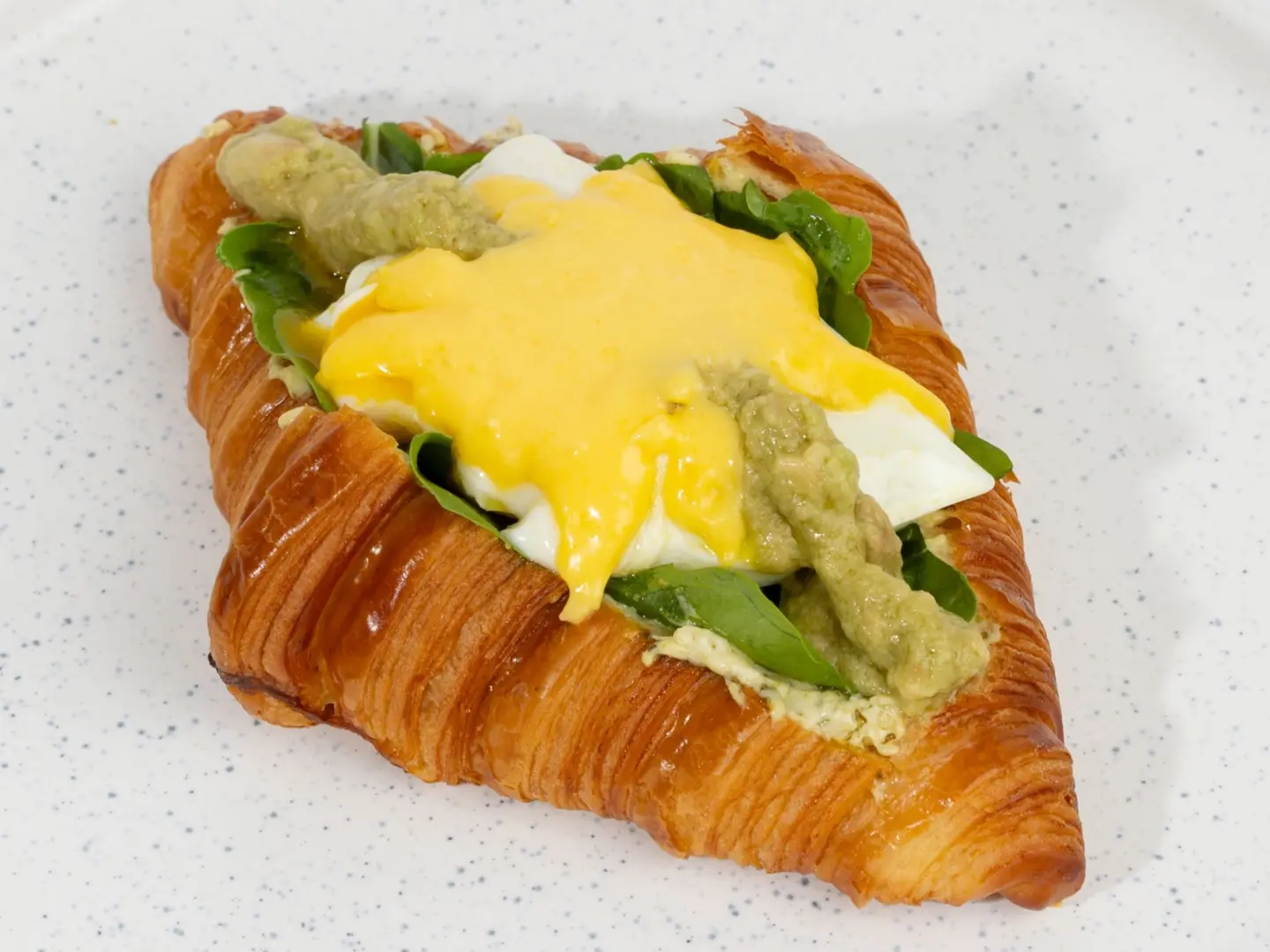 افوكادو بيندكت