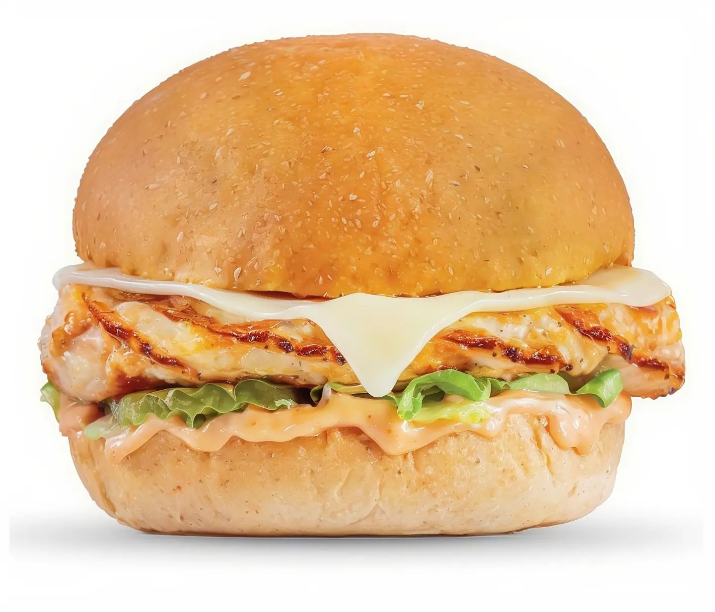 Chicken Breast Burgar