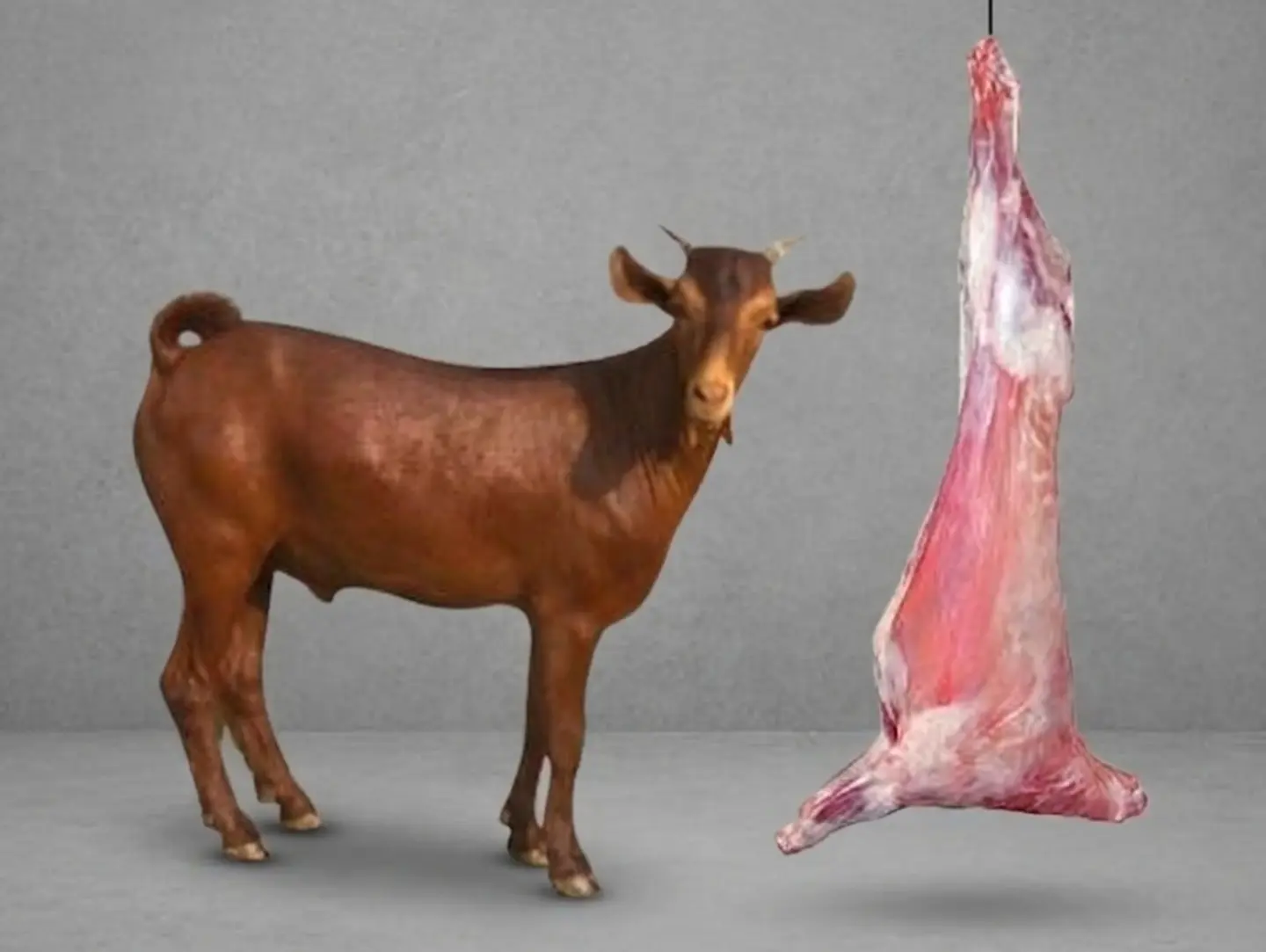Goat 1 Kg
