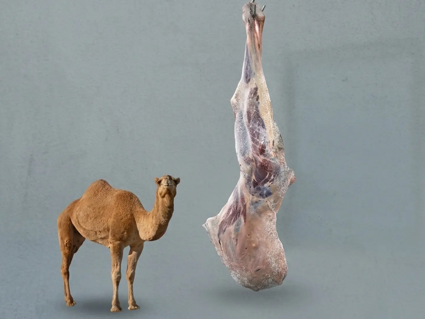 Hashi Meat With Bone 1 Kg