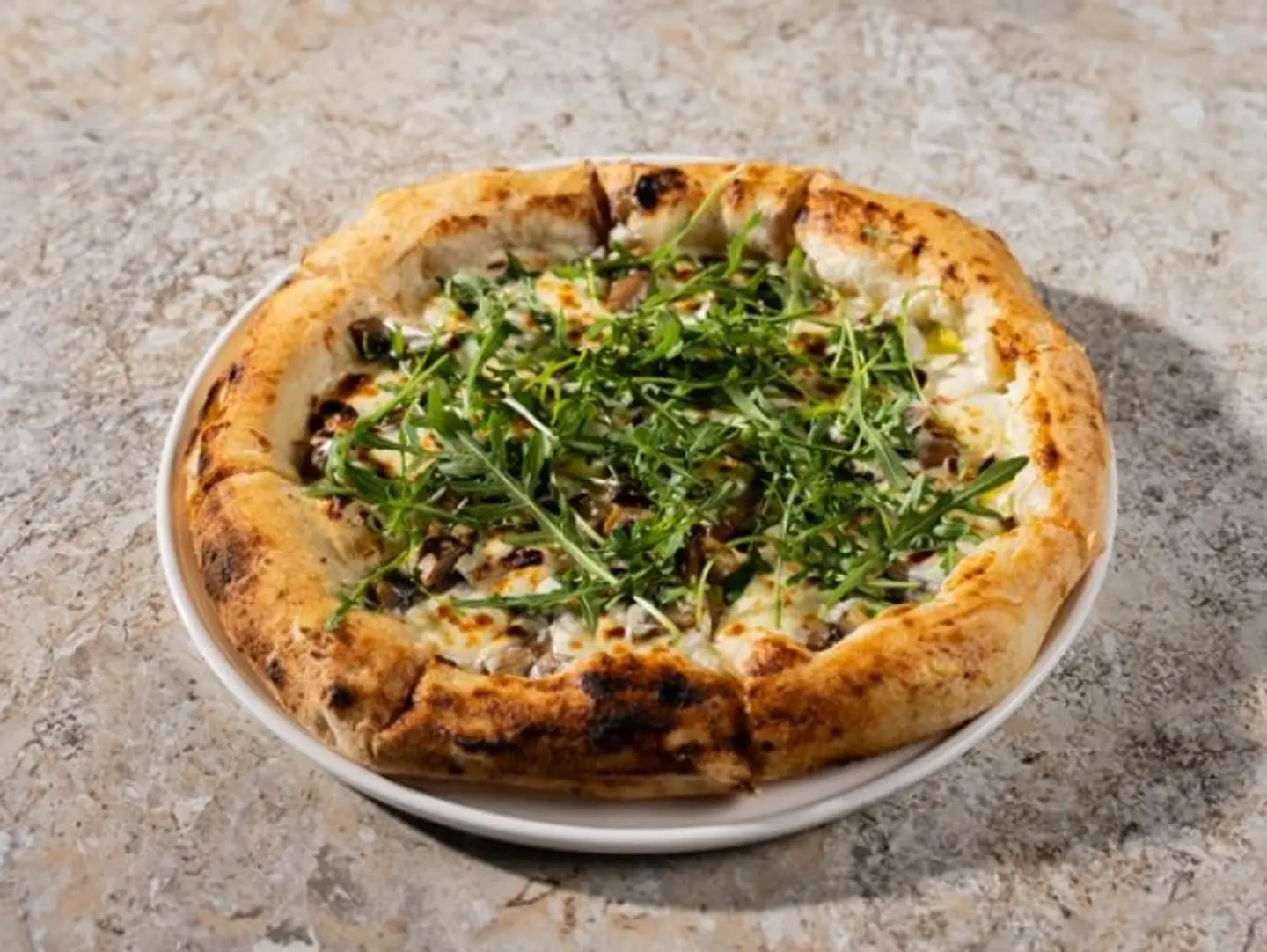 Truffle Mushroom Pizza
