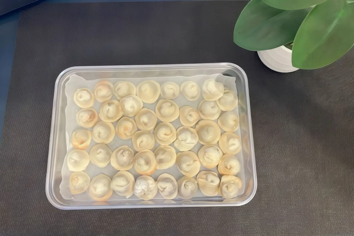 شيشبرك مثلج