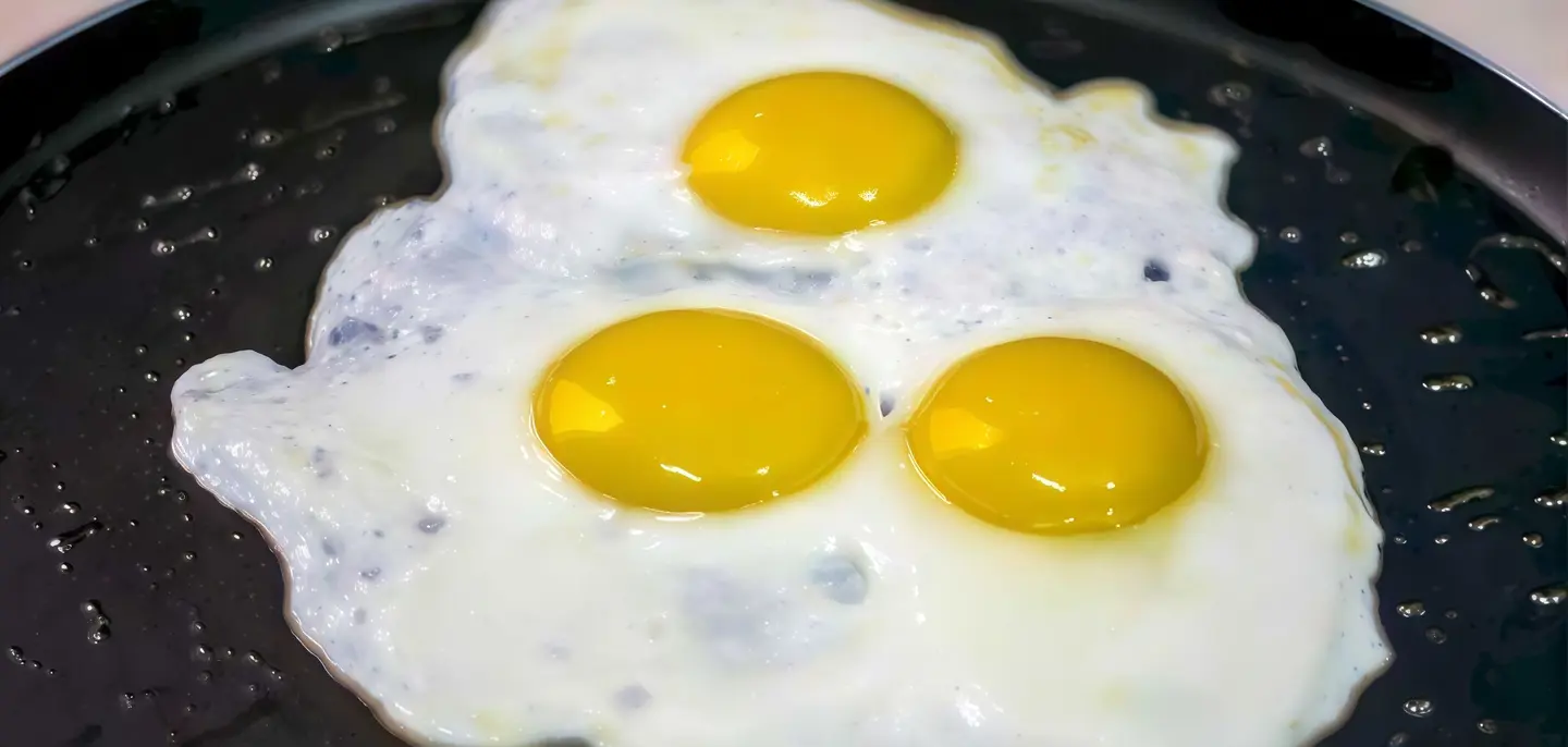 Egg Bowl