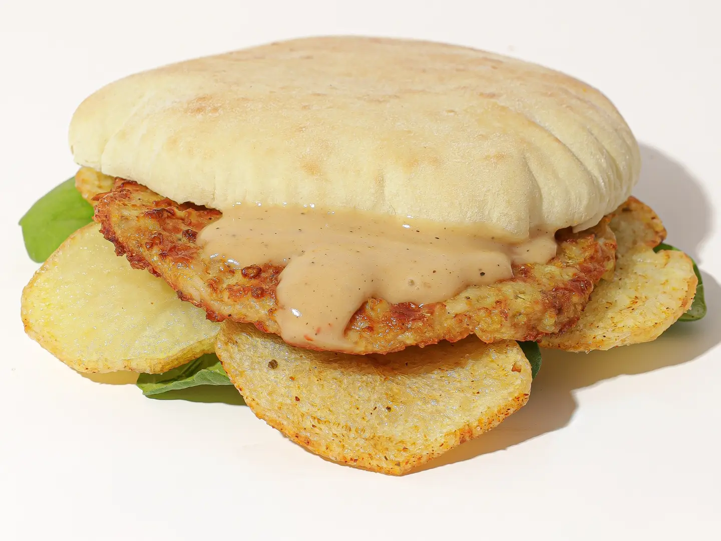 مدوره دجاج سجنيتشر