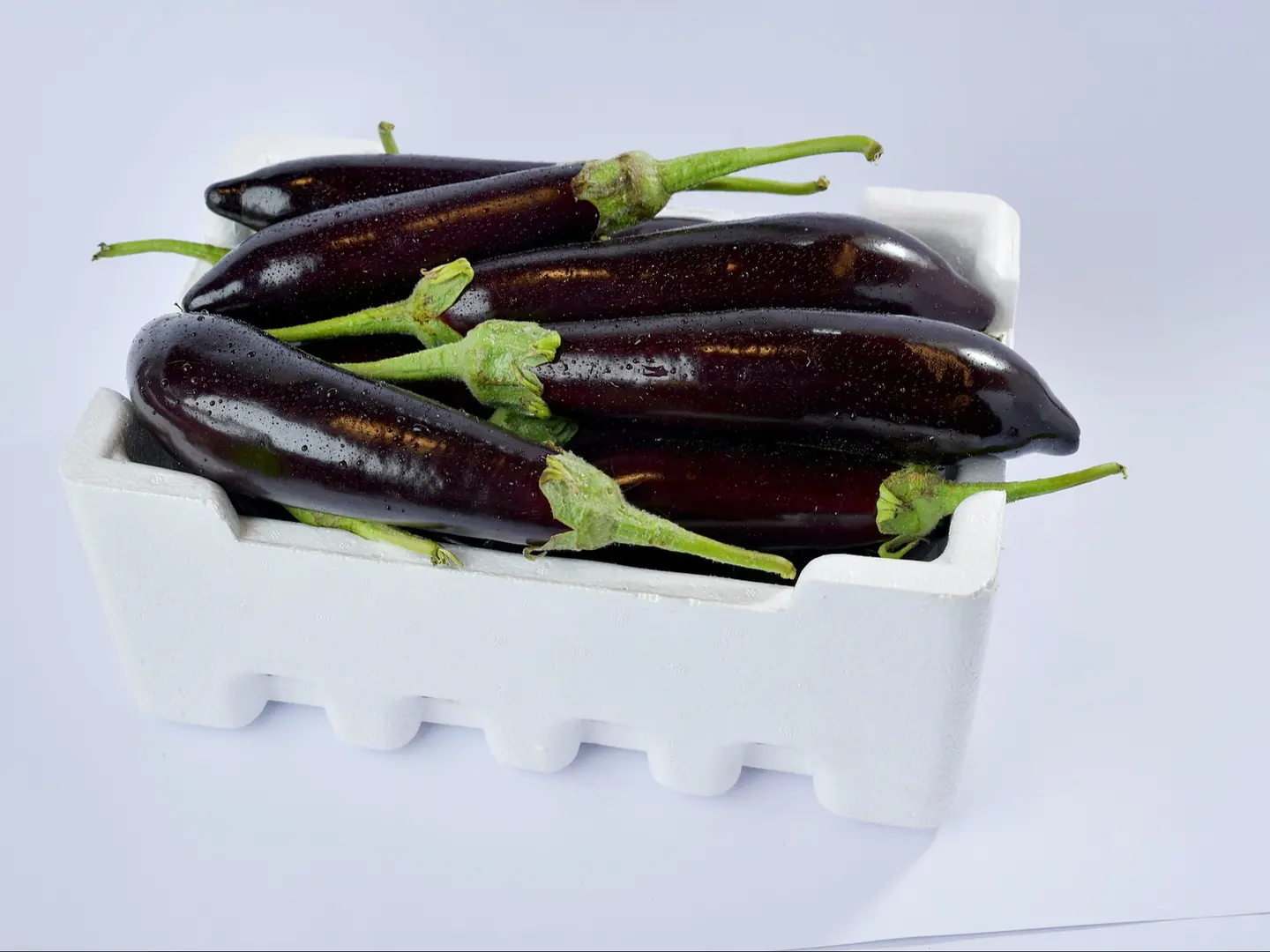 باذنجان اسود فلين صغير