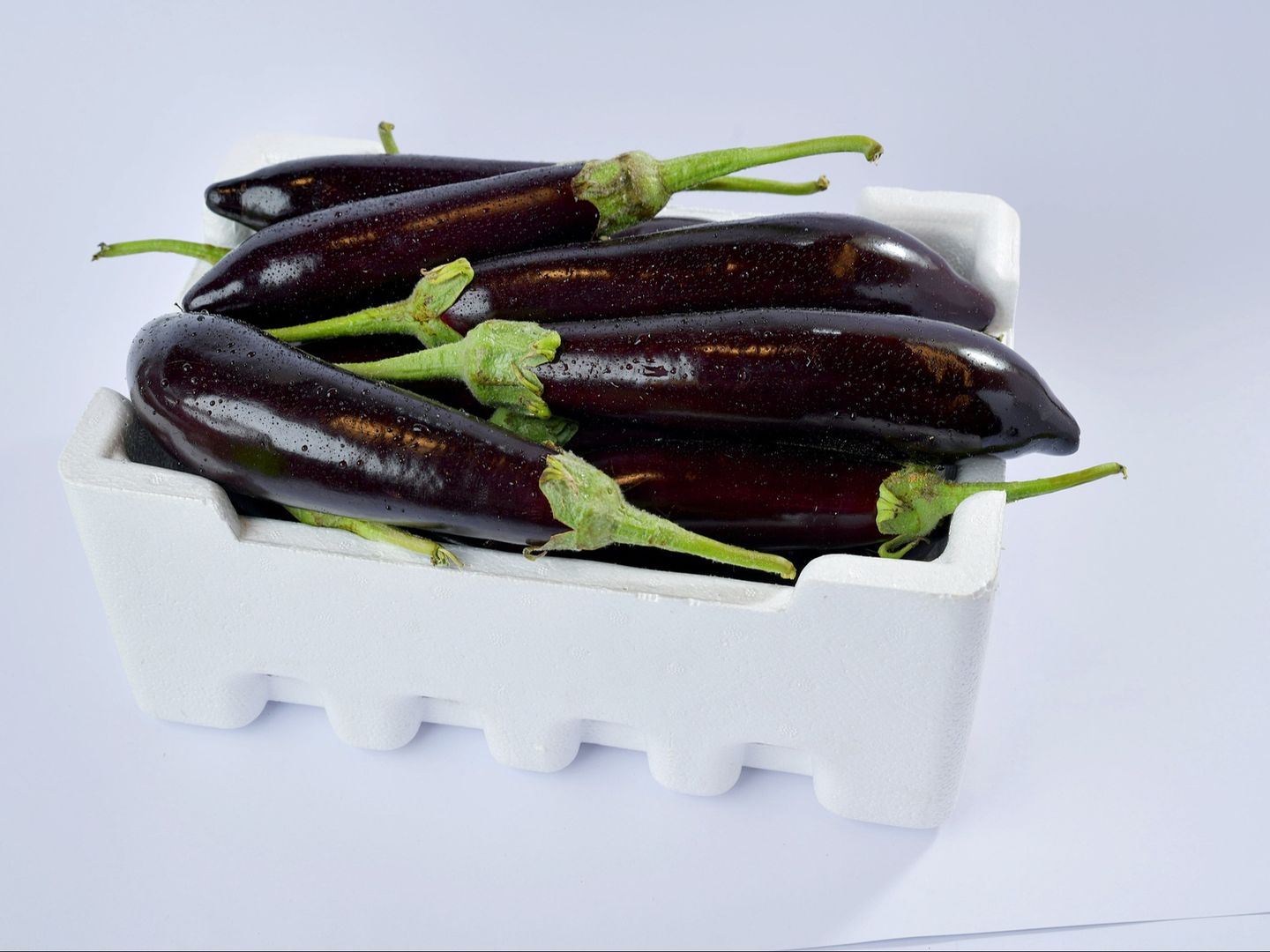 باذنجان اسود فلين صغير