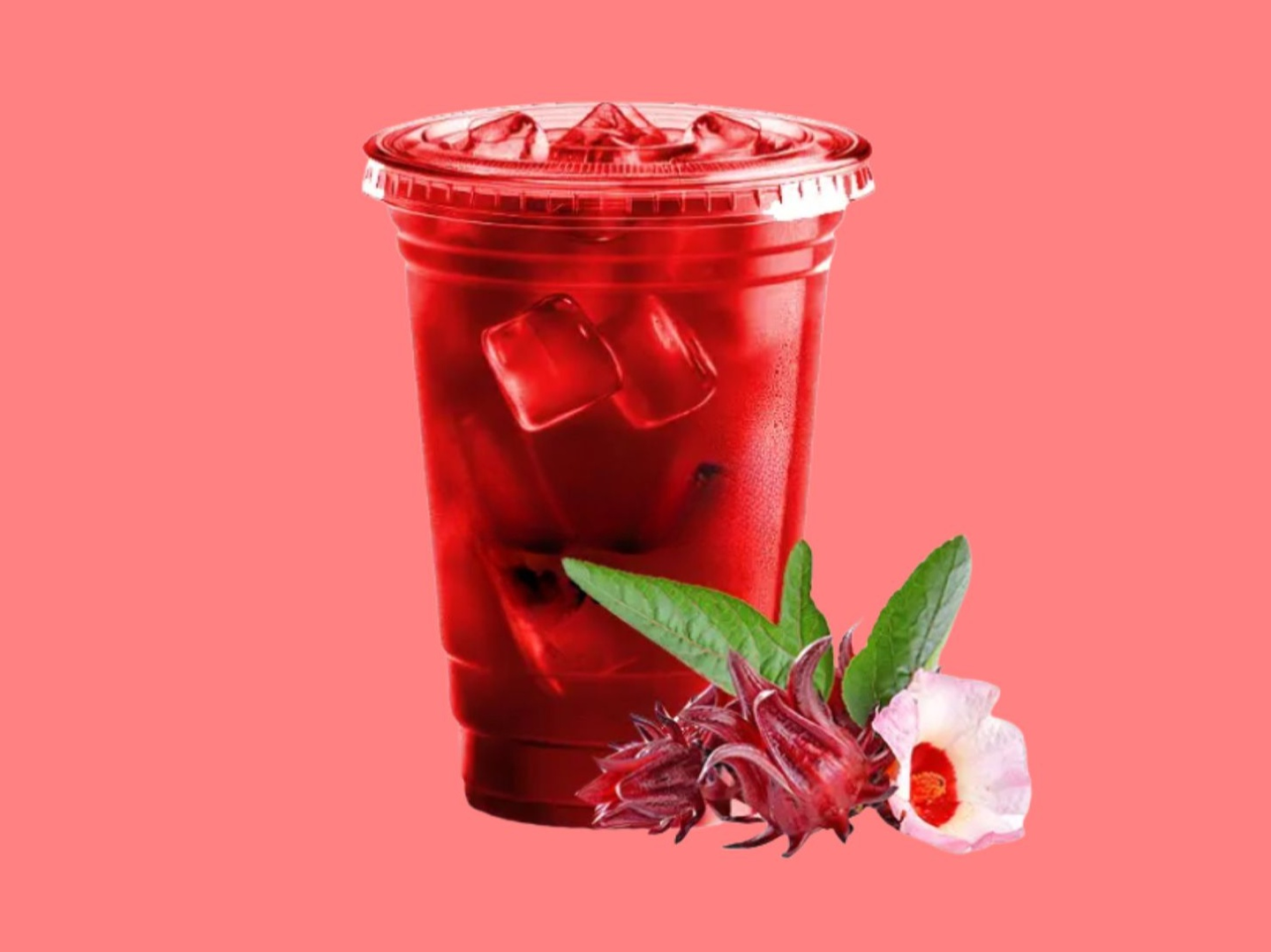 Hibiscus