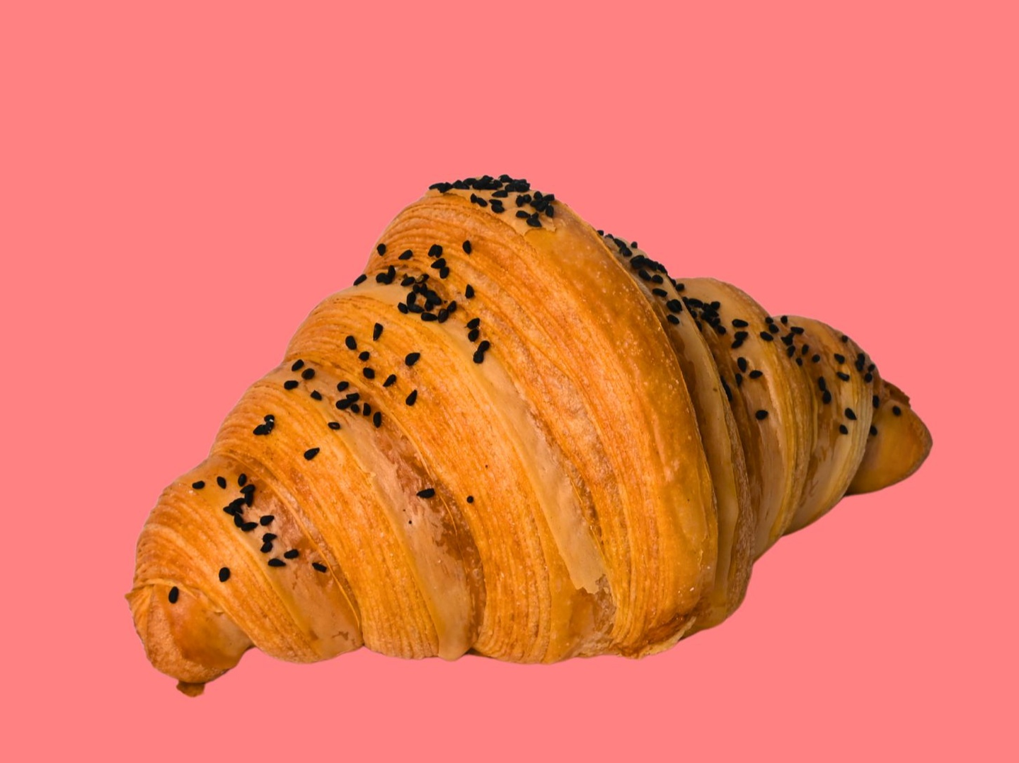 Cheese Croissant
