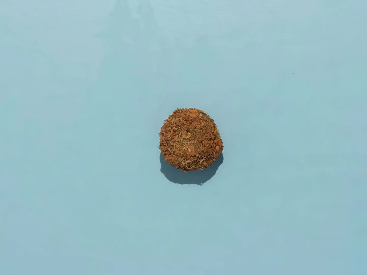 ميني جيب التاجر بالزعتر