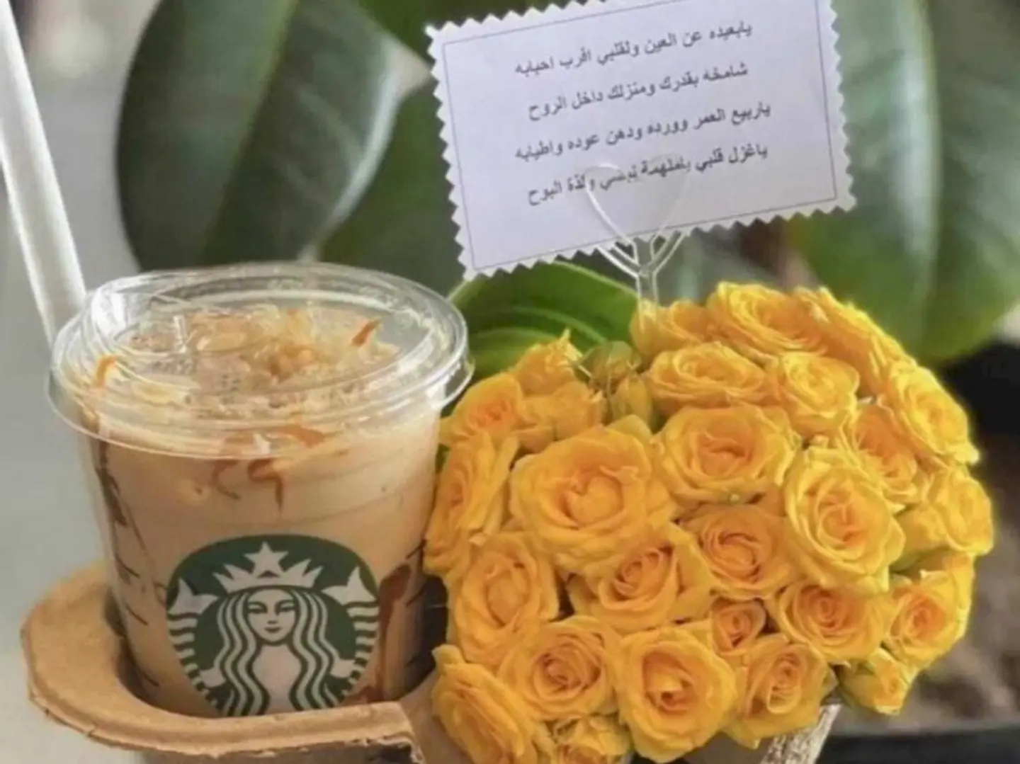 Yellow Rose With Starbucks Coffee