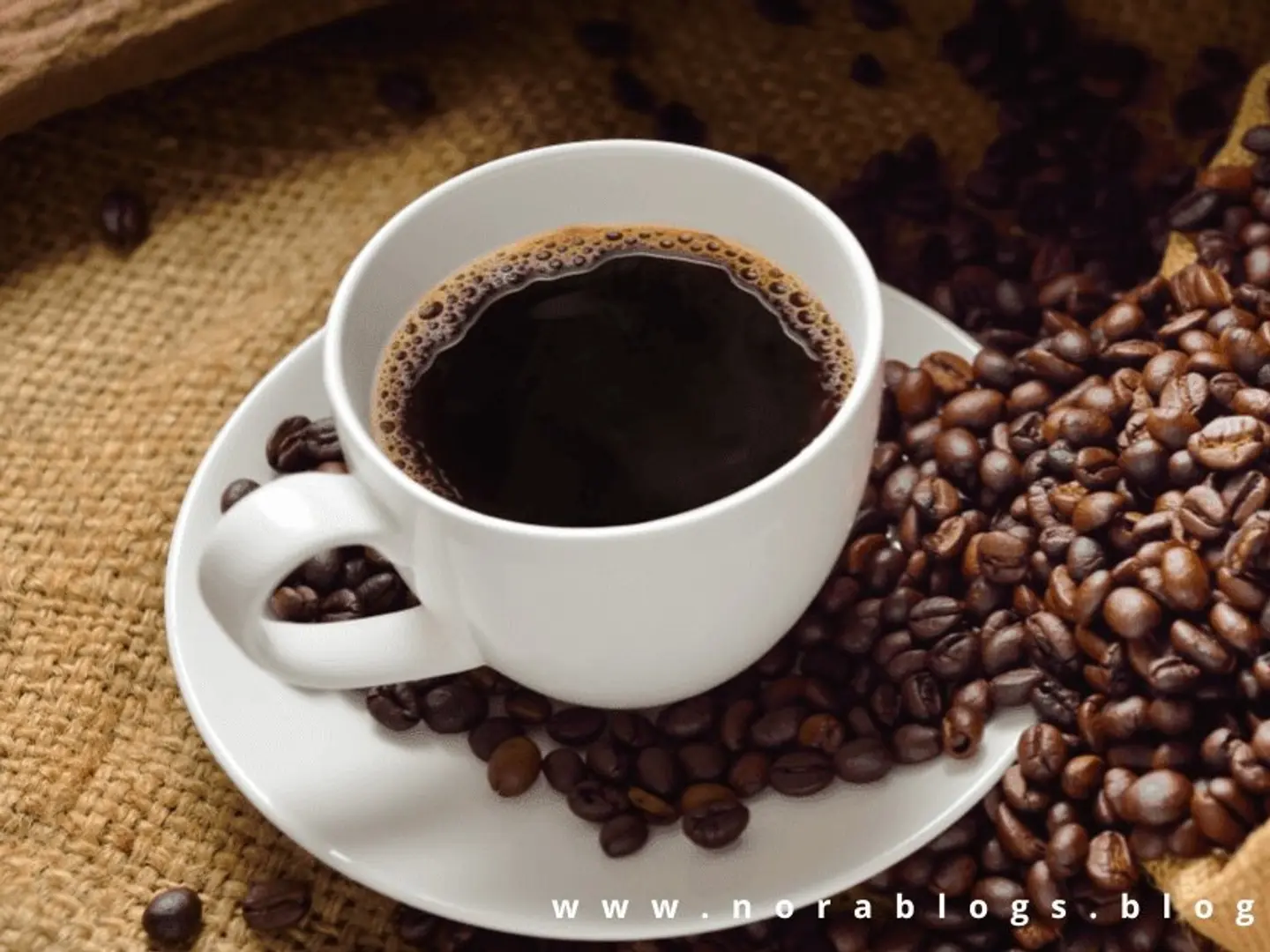 قهوة اليوم - حار