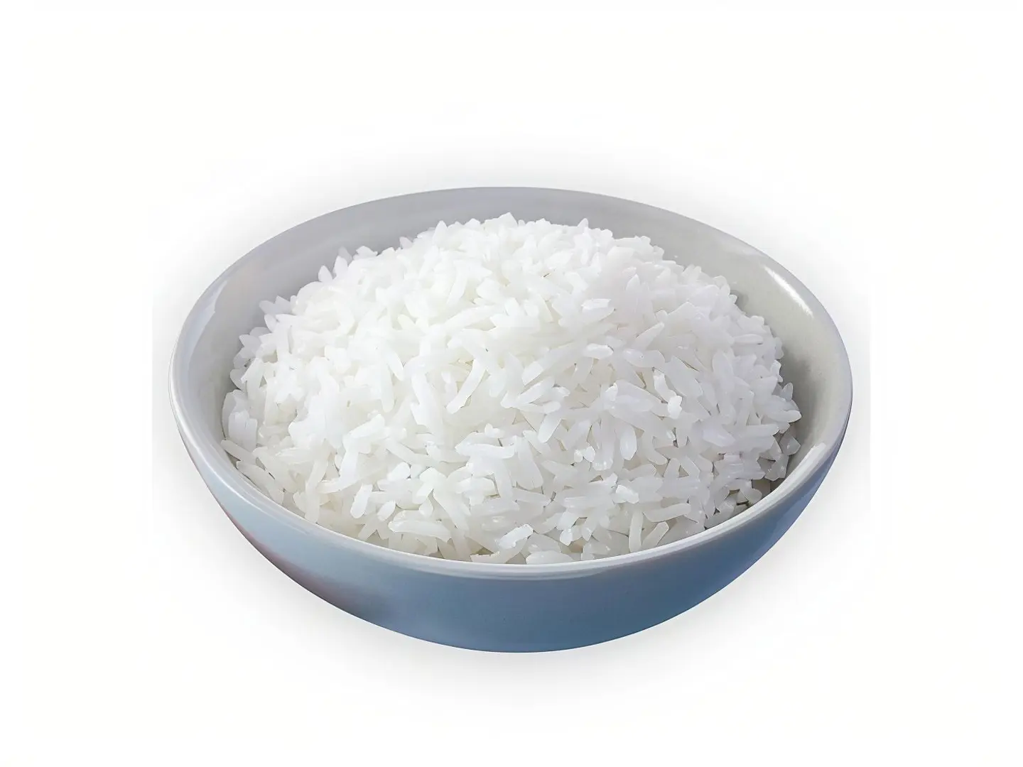 رز سادة