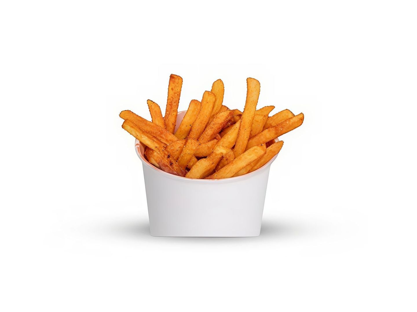 Regular Seasoned Fries