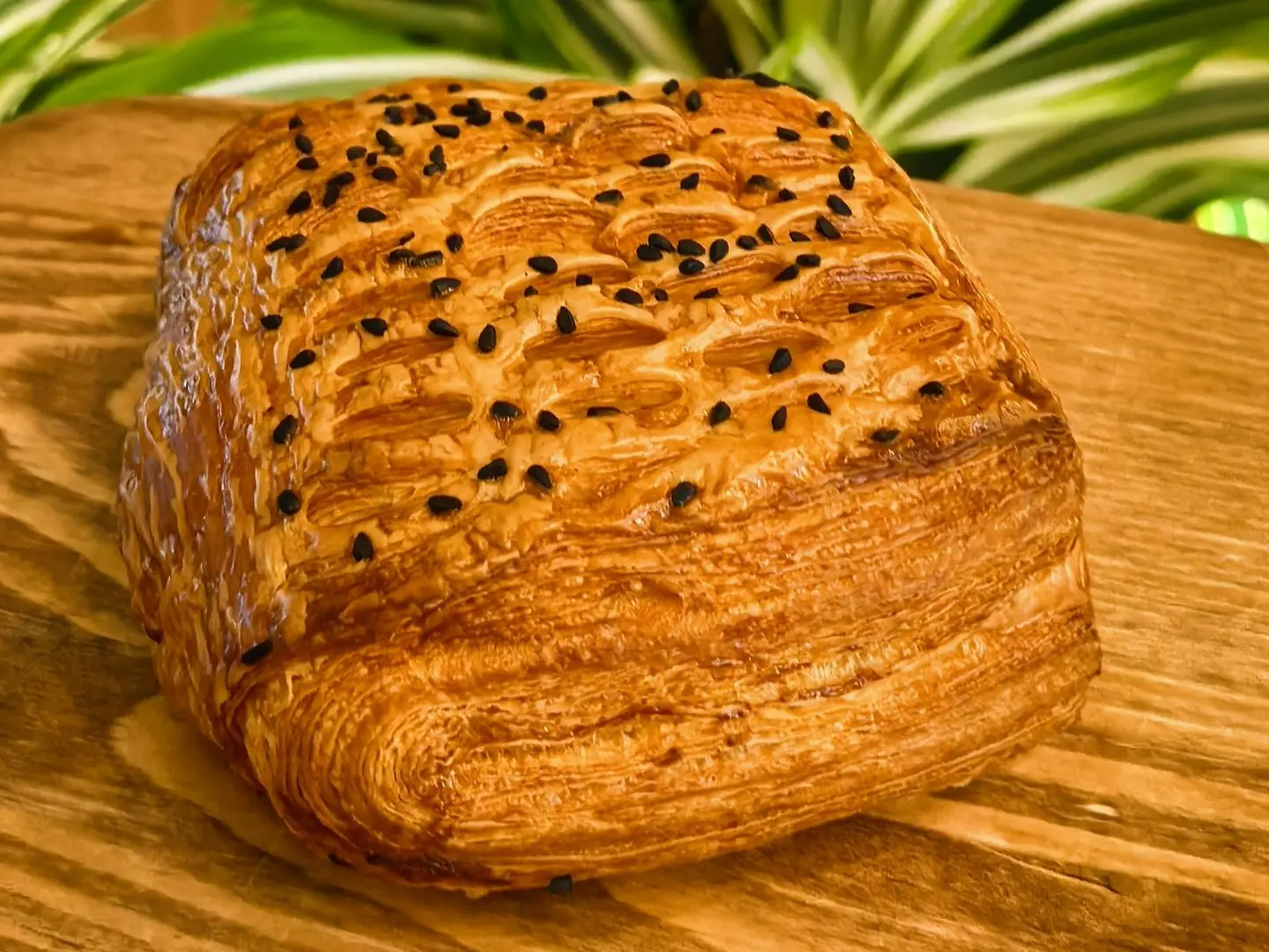 دانش الطماطم المجففة مع الجبن الفاخر