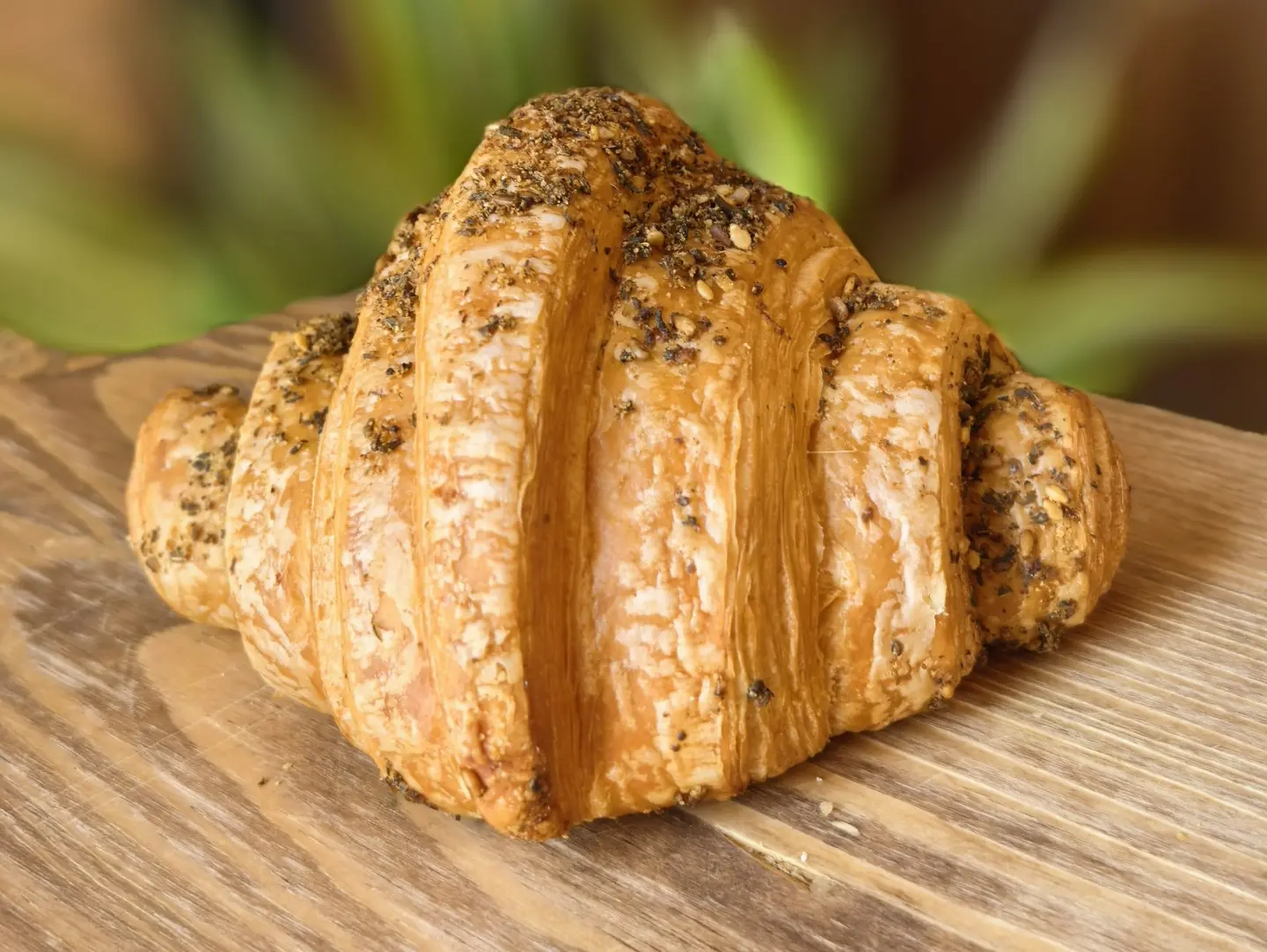 Mini Thyme Croissant