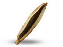 فطيرة زعتر