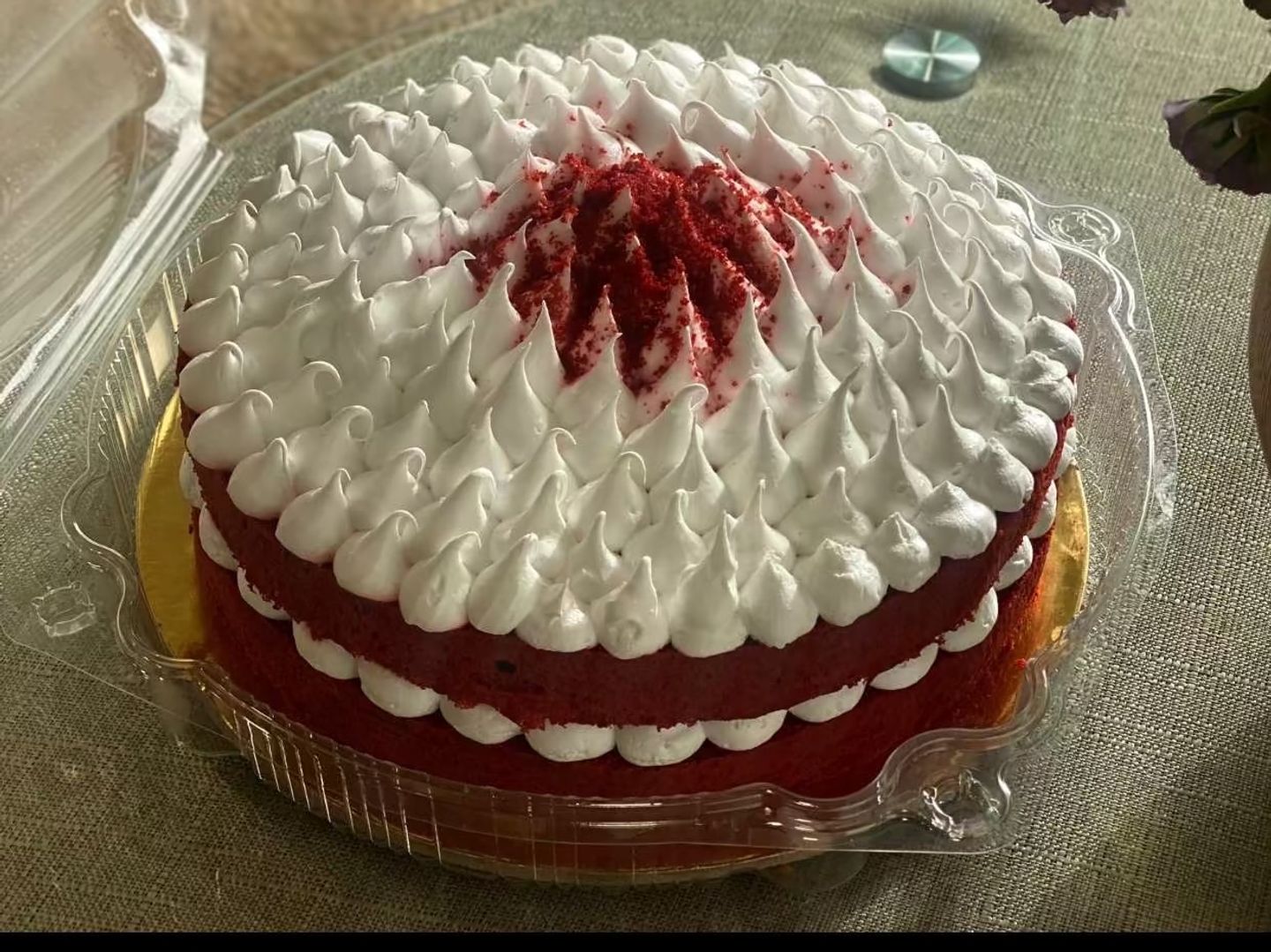رد فلفت