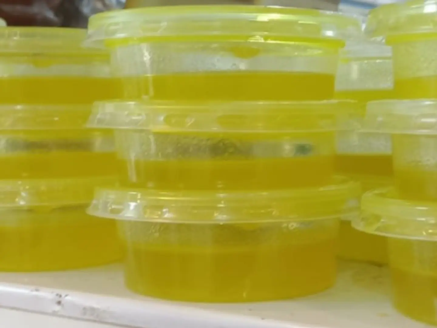 Taif Ghee