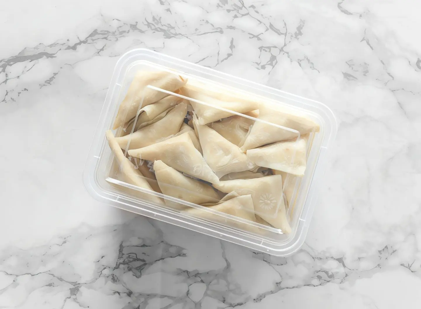 1 بوكس سمبوسة خضار مشكل