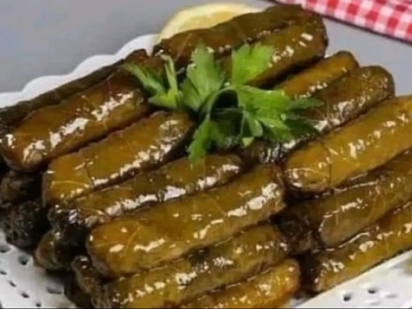 محاشى ورق عنب
