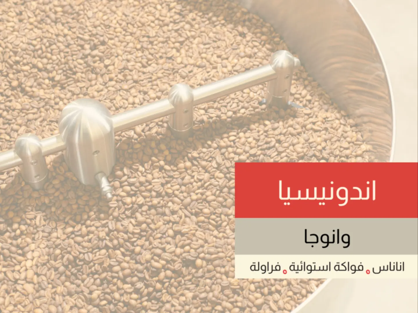 اندنونيسي - وانوجا