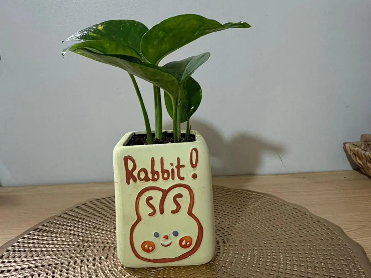Pots 102