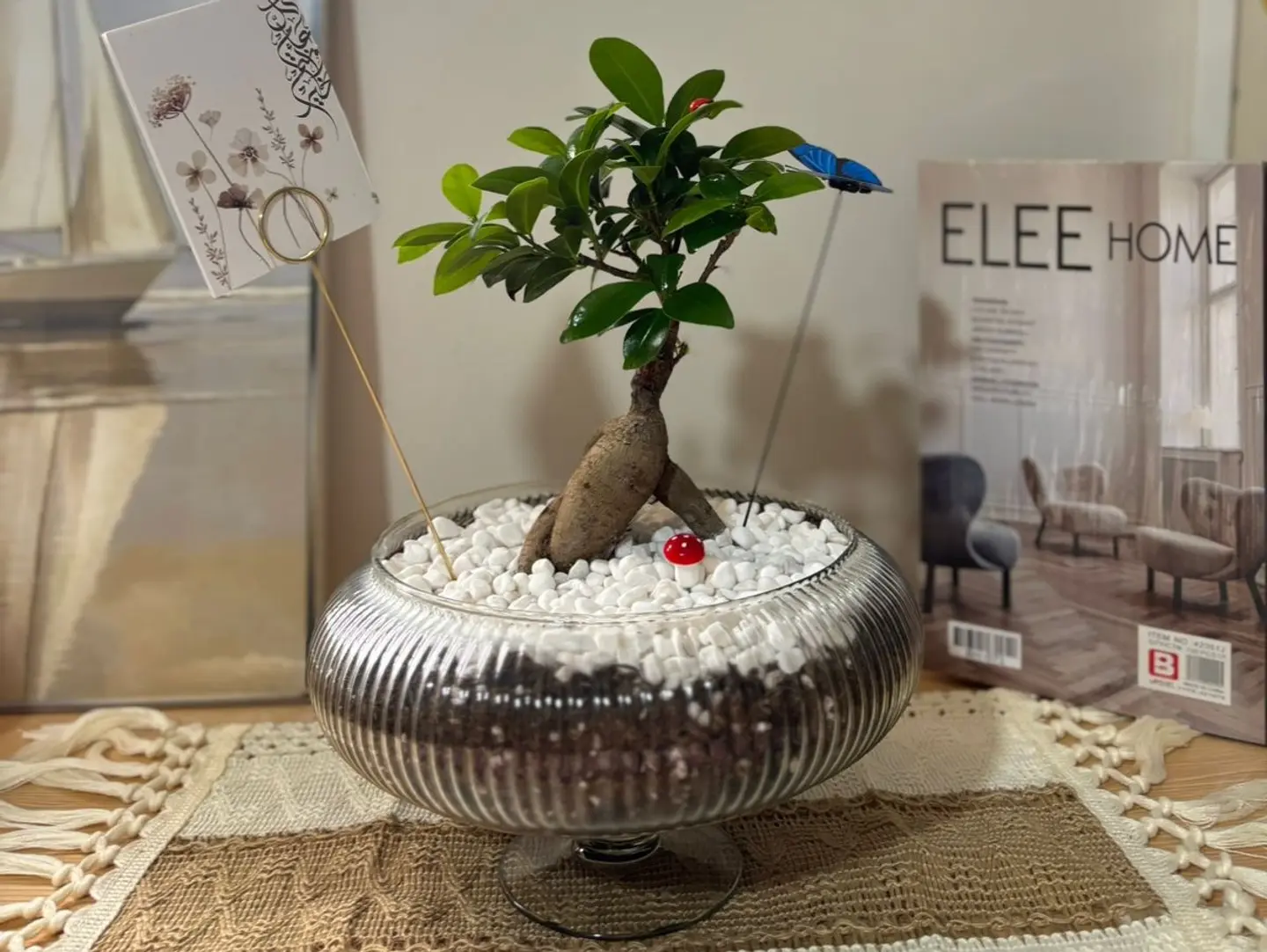 Bonsai Tree