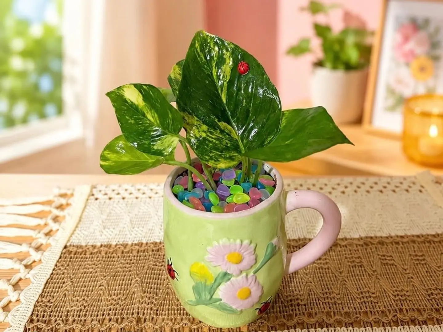 Pottos Plant In A Cup Of Flowers