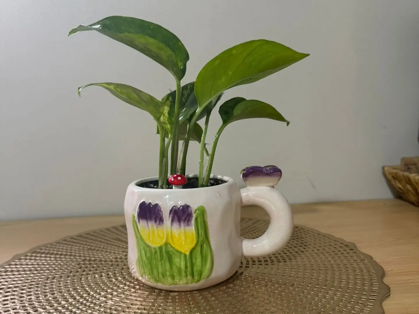 Pots 101
