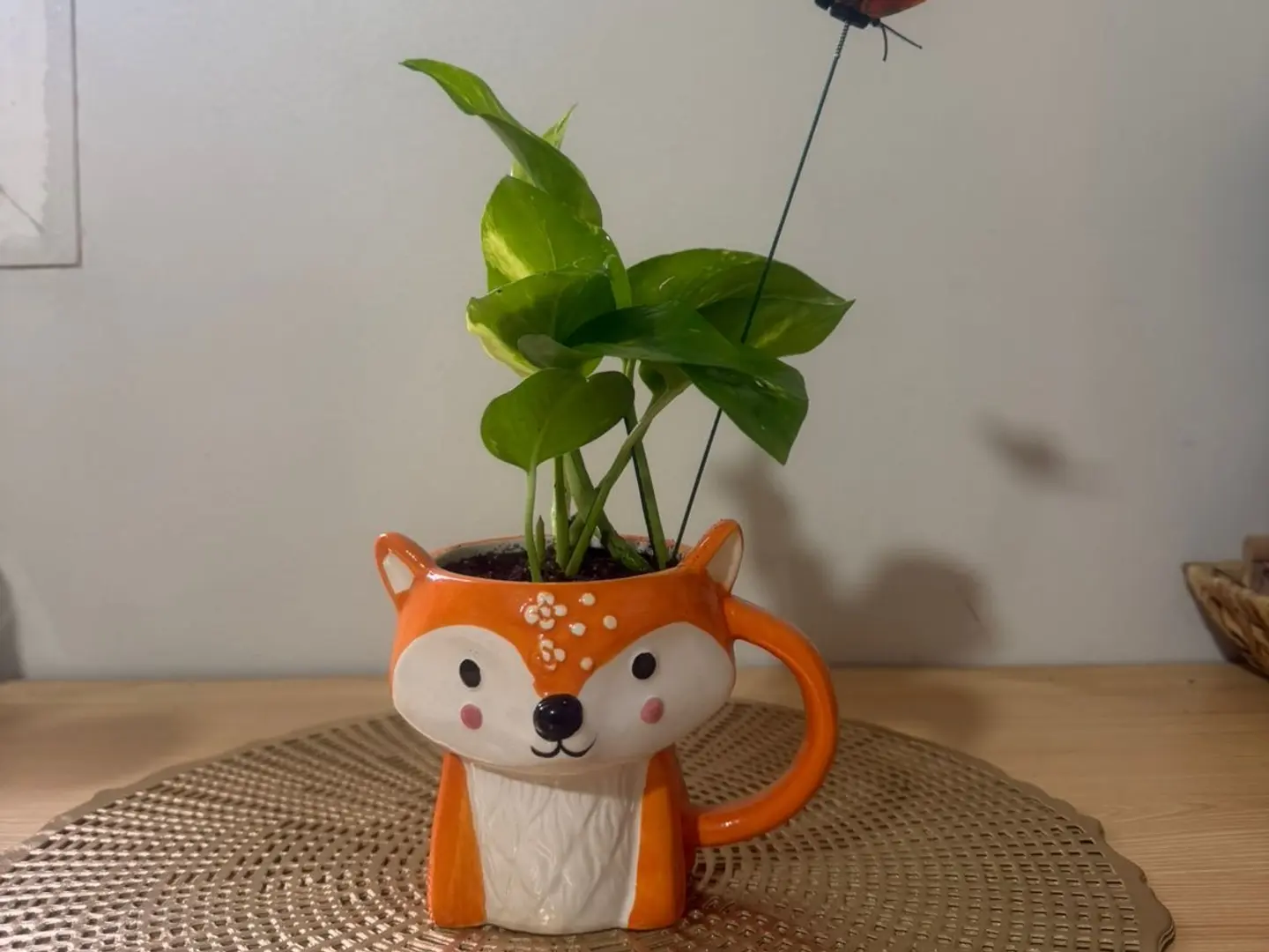 بتتي الصغيرة