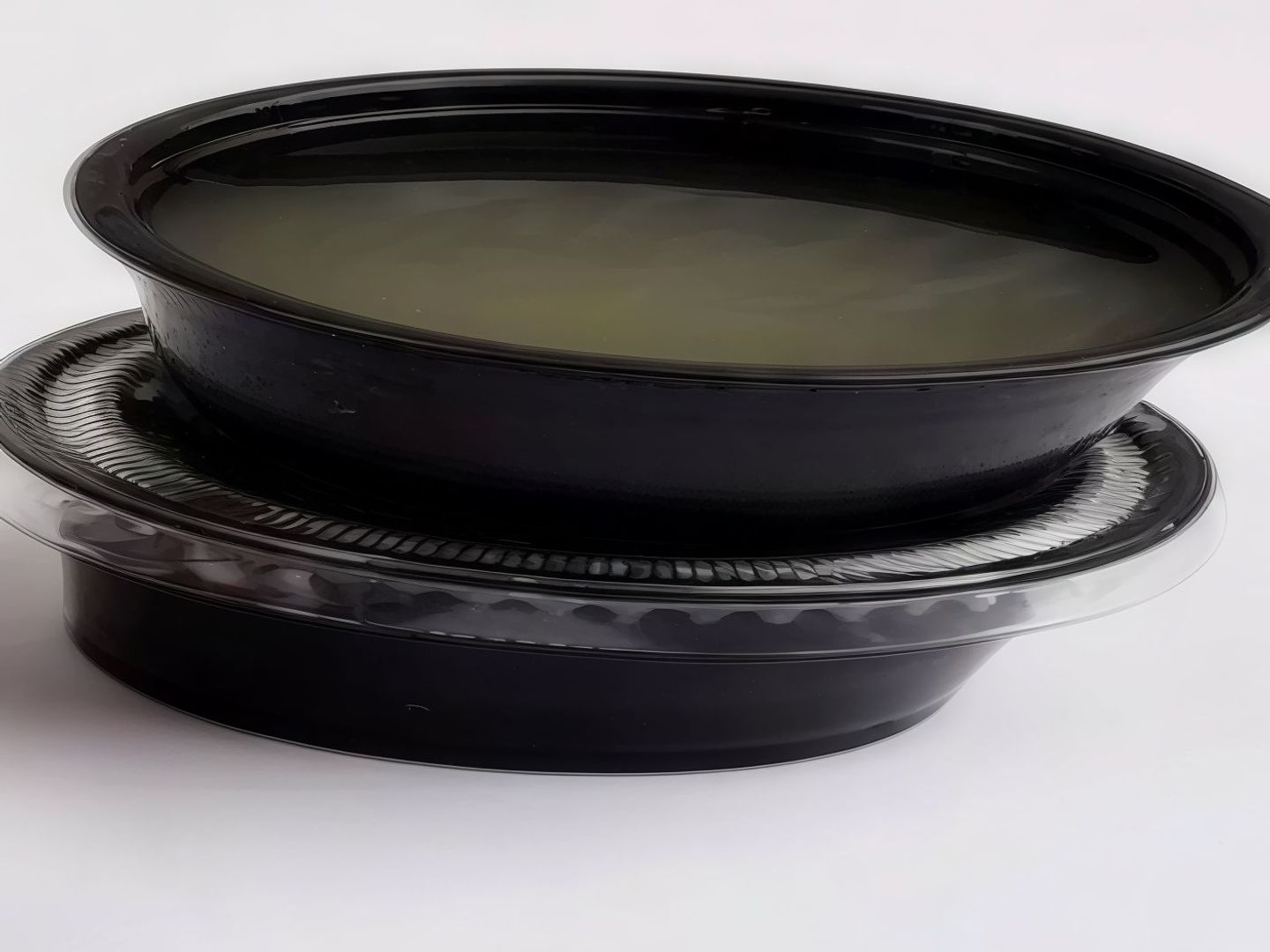 Garlic Vinegar Sauce