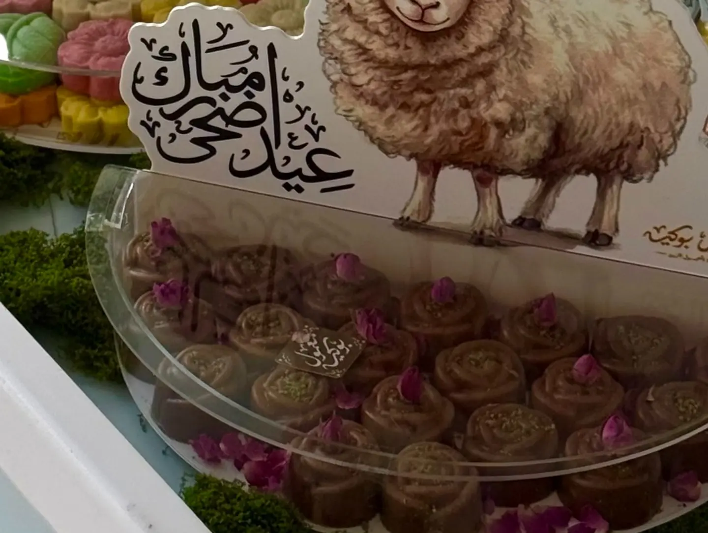 Ranijna Tray
