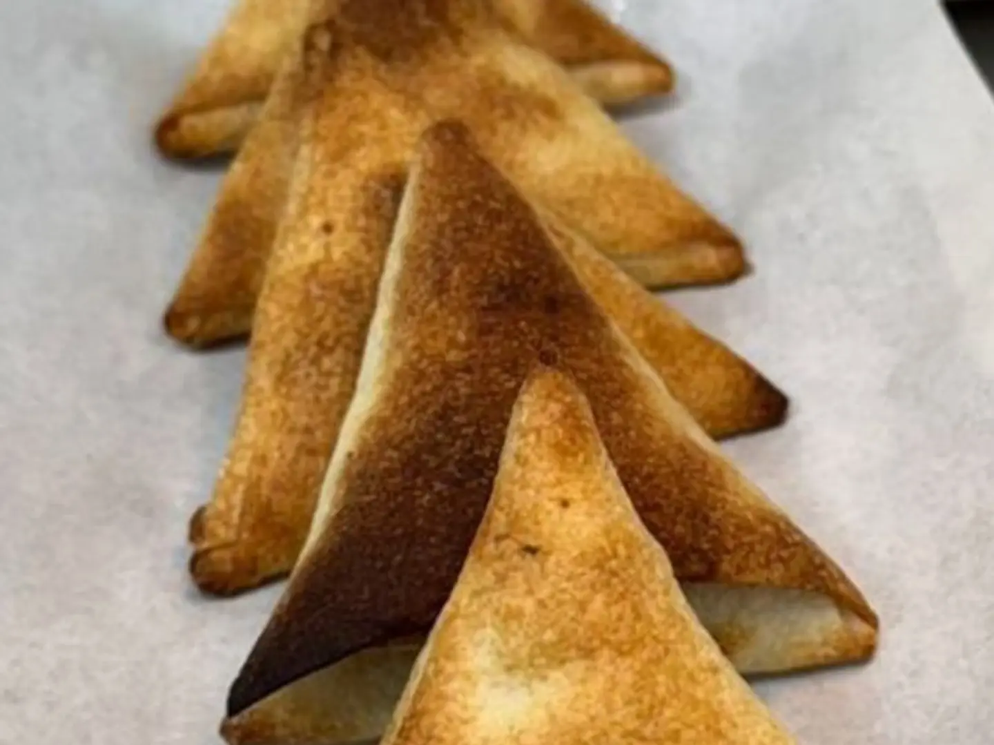 Oven Baked Crispy Pastry Samosa (Medium)