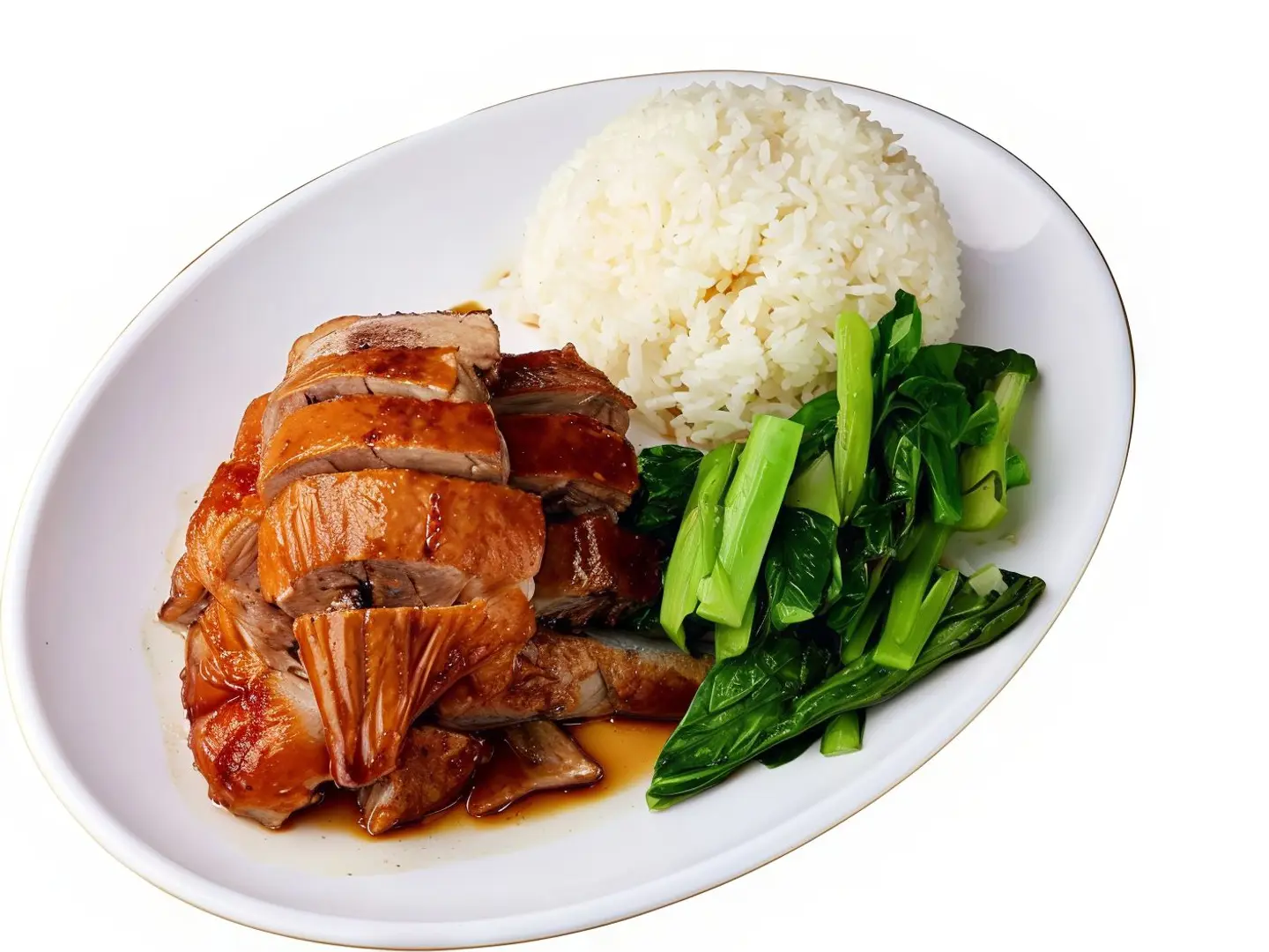 Roast Duck Rice