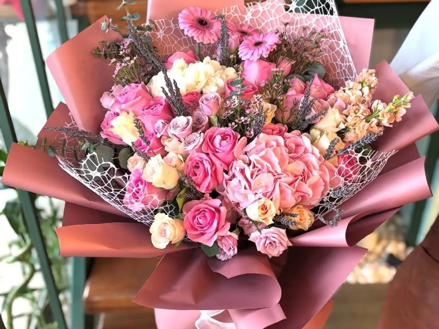 جود بوكيه س 3