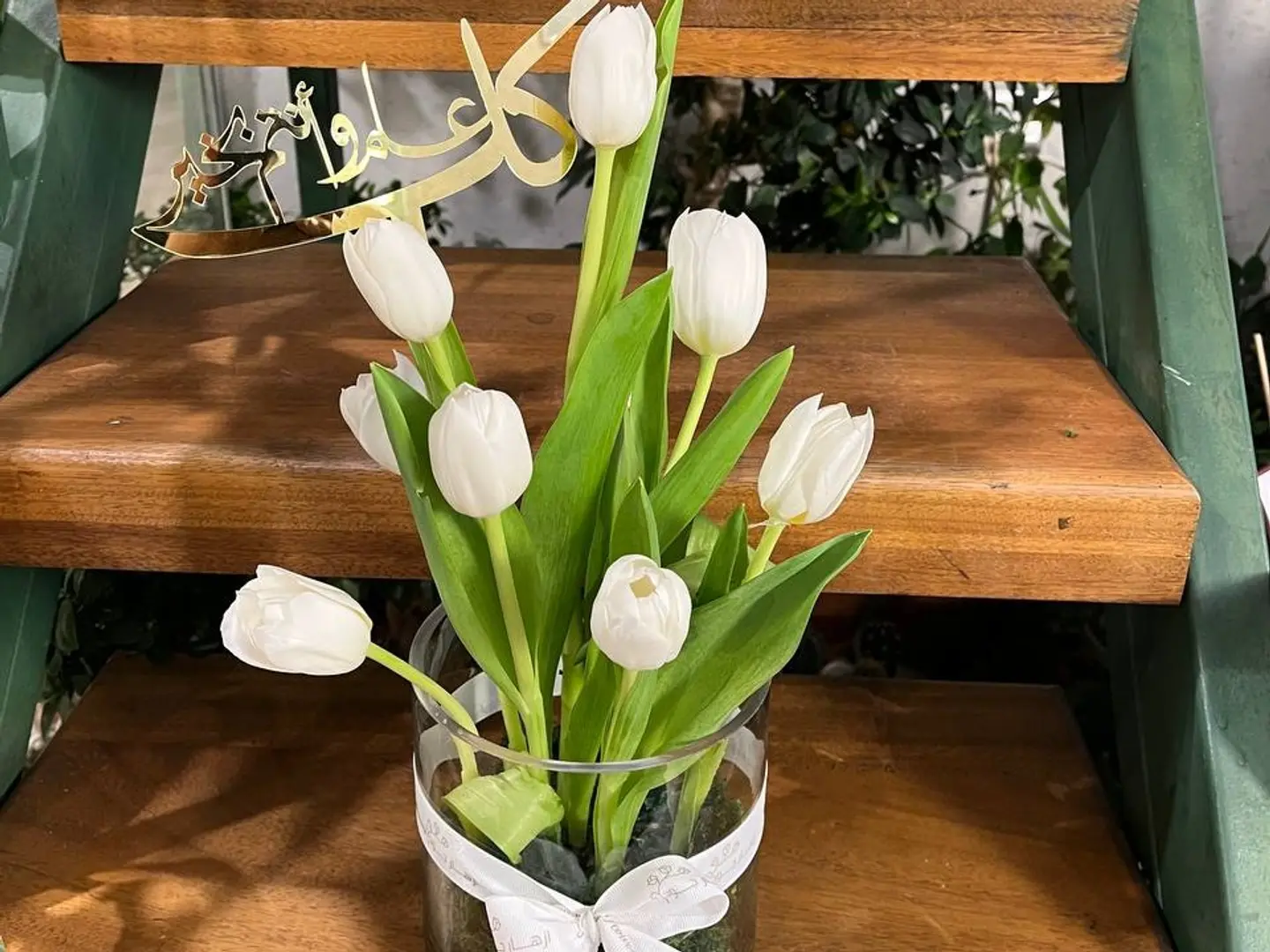 فازة التوليب