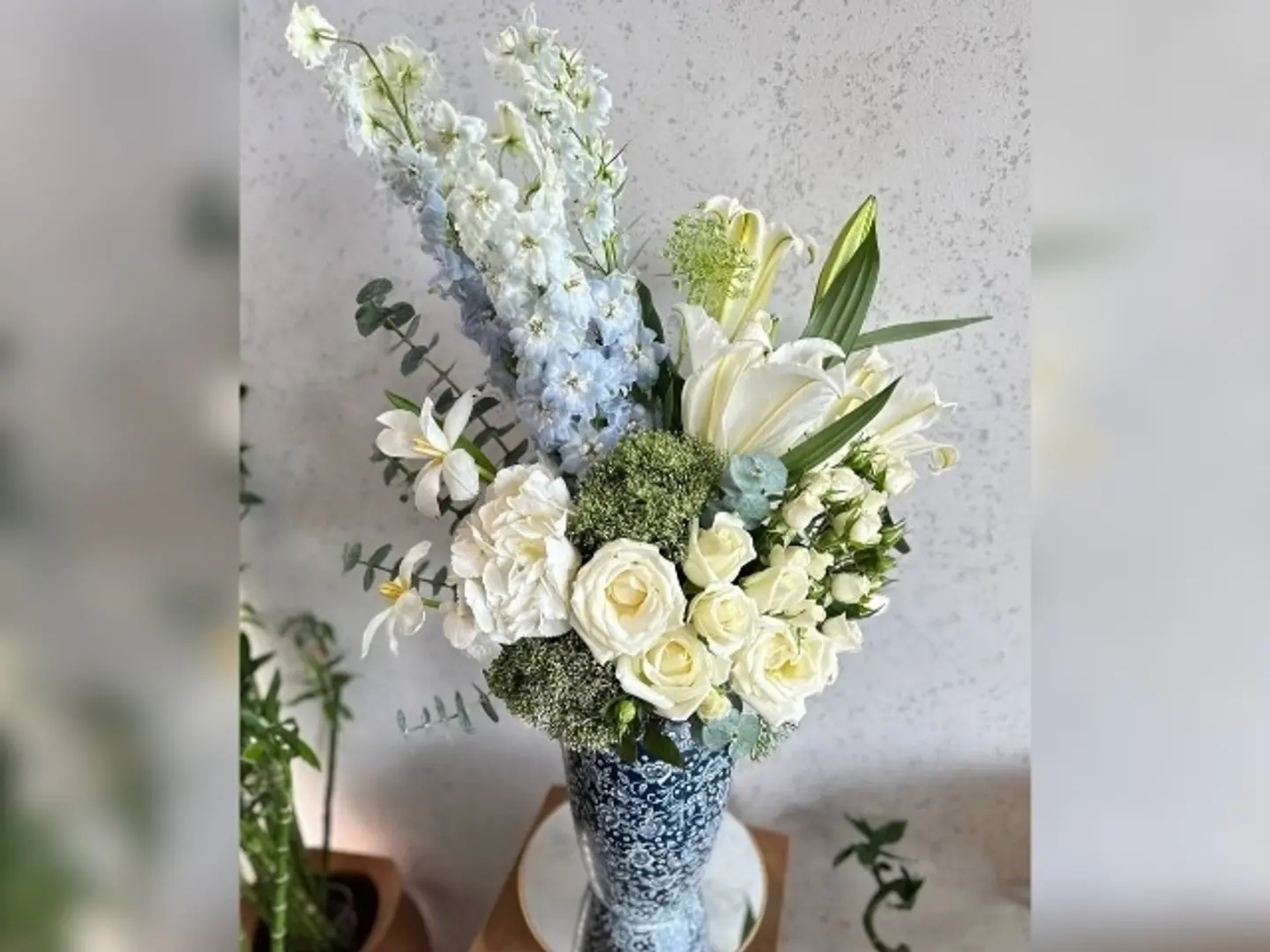 جود فازة مميزة 2