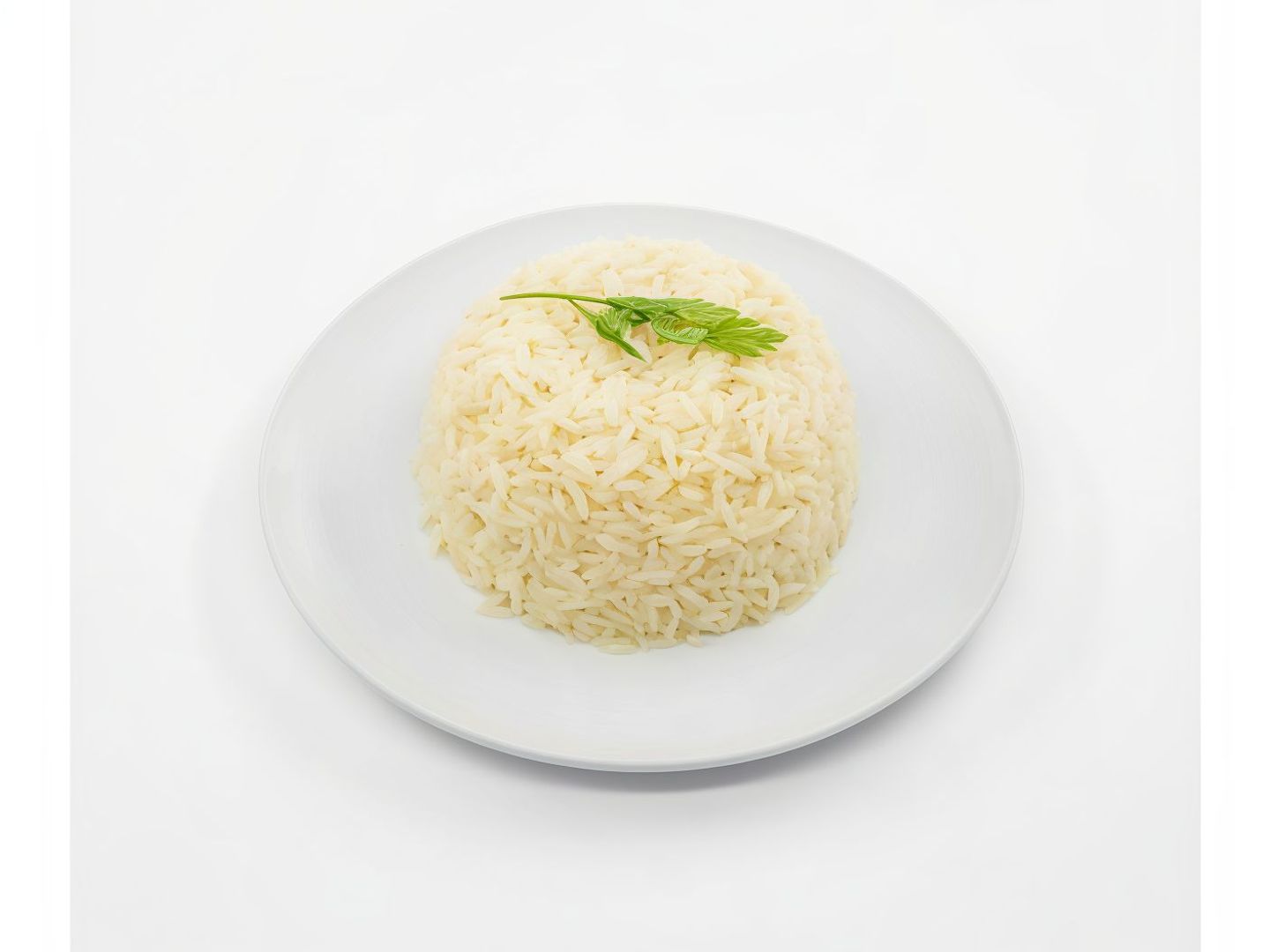 رز ابيض