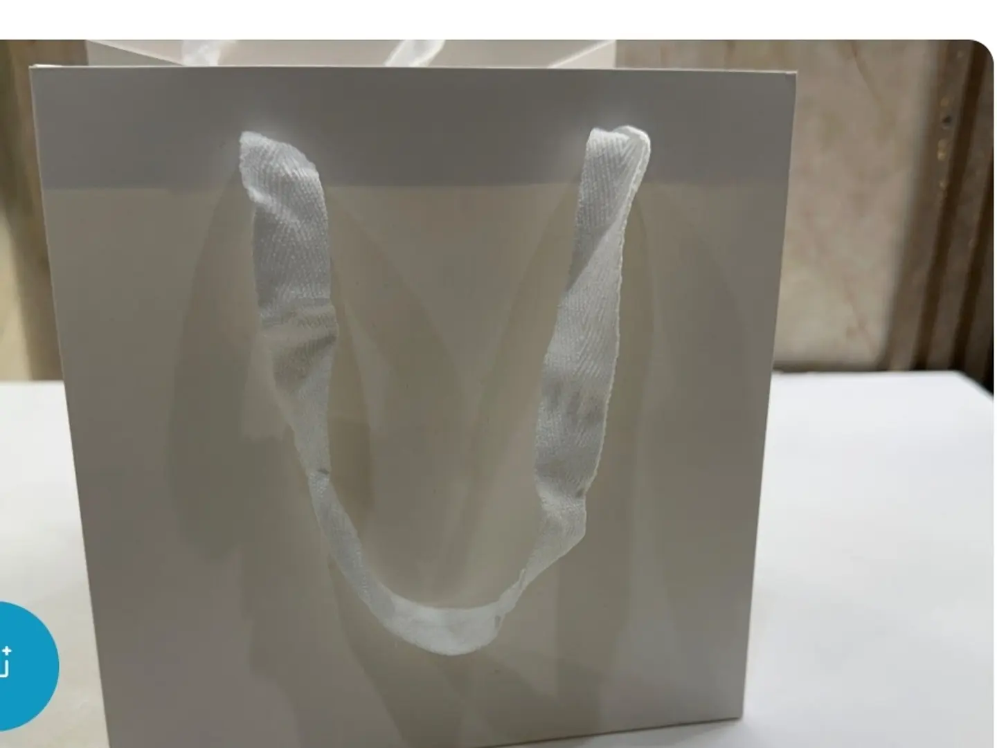 Large White Gift Bag