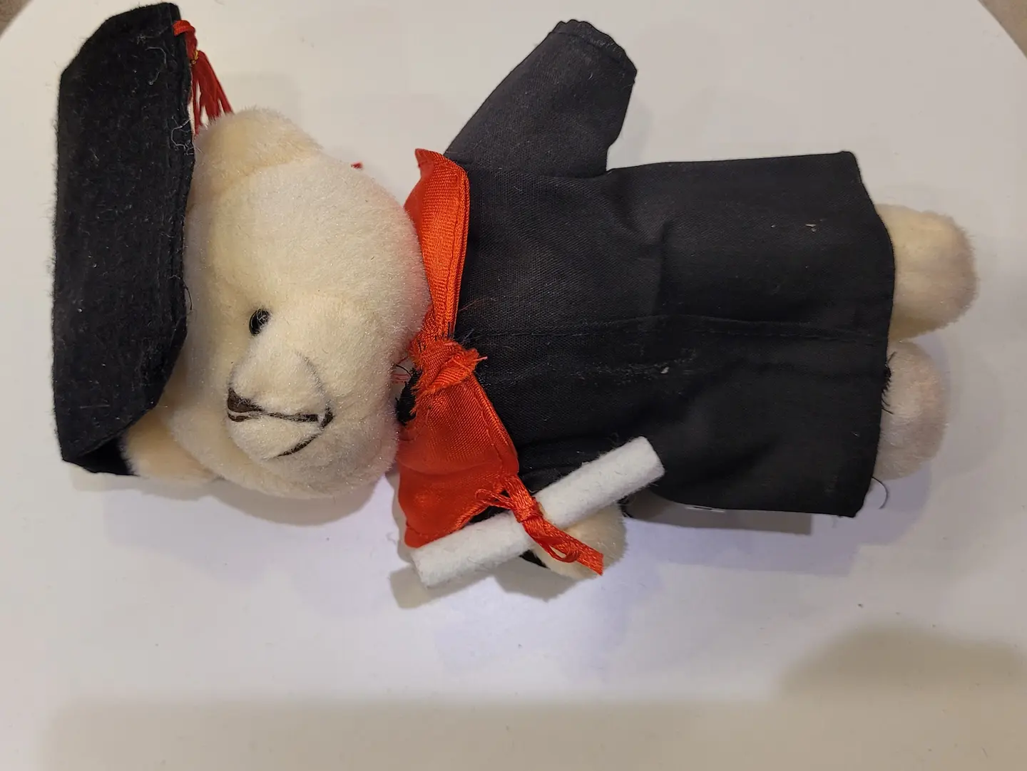 Small White Graduation Teddy Bear