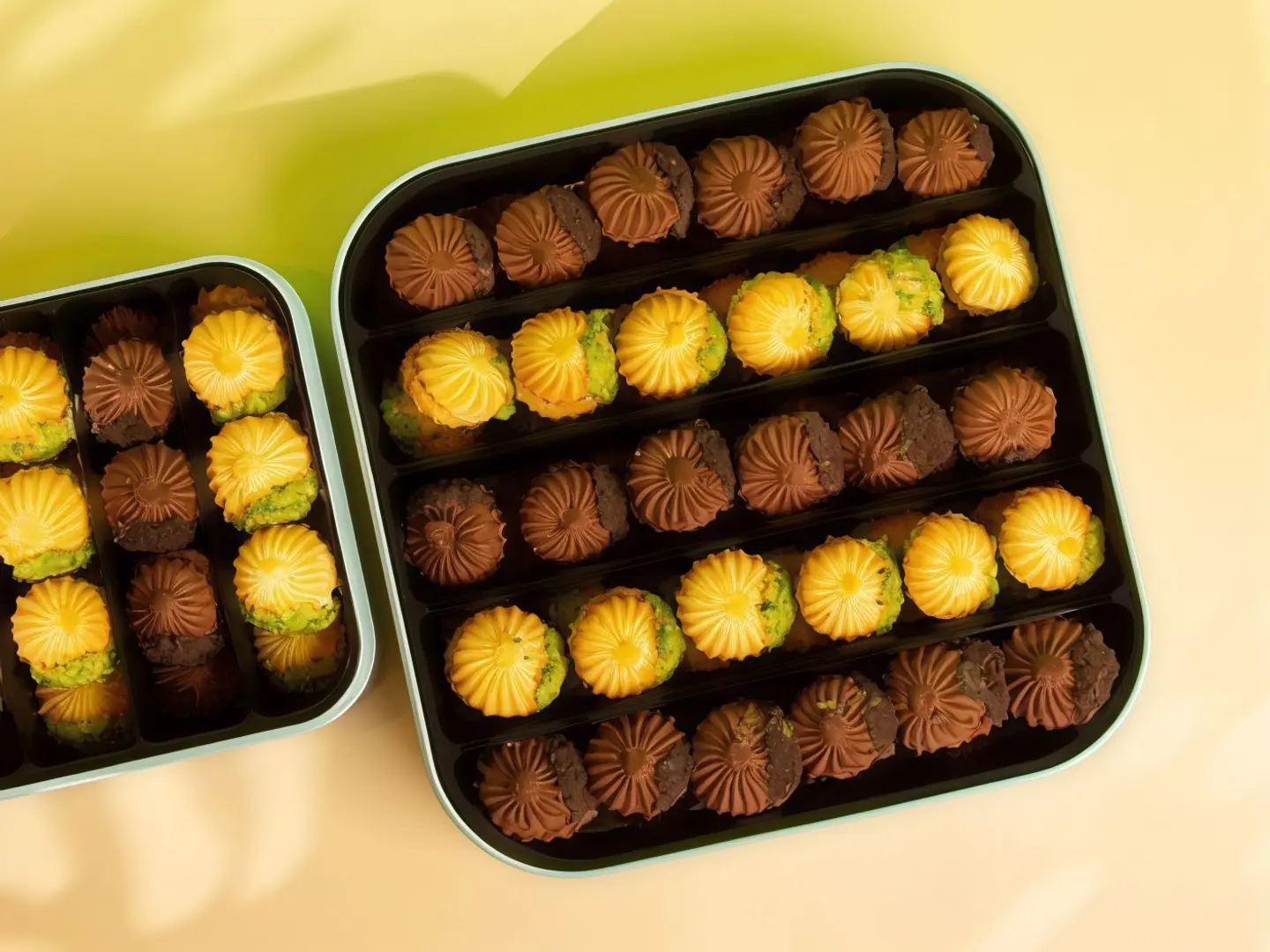 بيتفور كبير هشه برشه