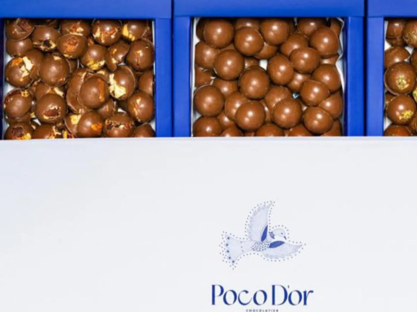 ليتل بايتس بوكودور