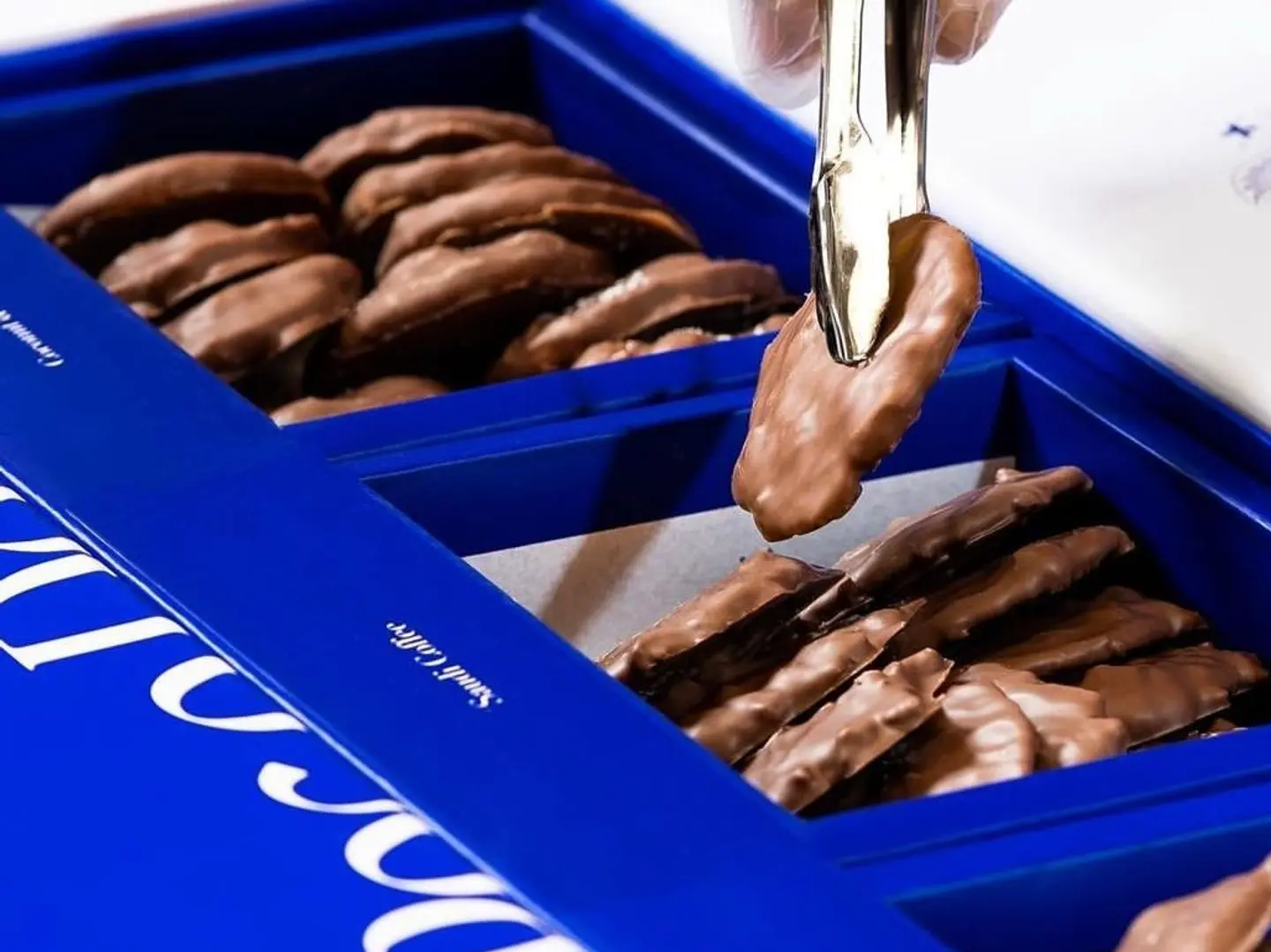 Blue Section Bocaudour Chocolate