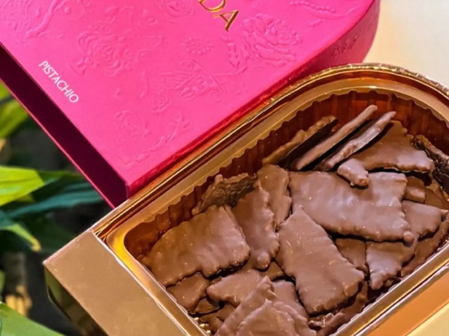 فهده كرسبي صغير بيستاشيو